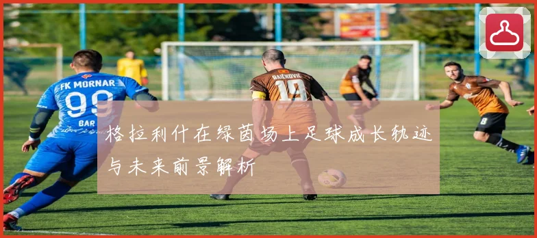 格拉利什在绿茵场上足球成长轨迹与未来前景解析
