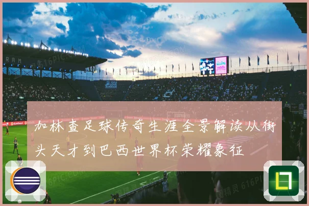 加林查足球传奇生涯全景解读从街头天才到巴西世界杯荣耀象征