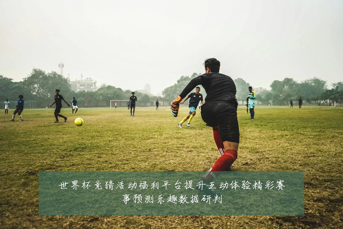 世界杯竞猜活动福利平台提升互动体验精彩赛事预测乐趣数据研判